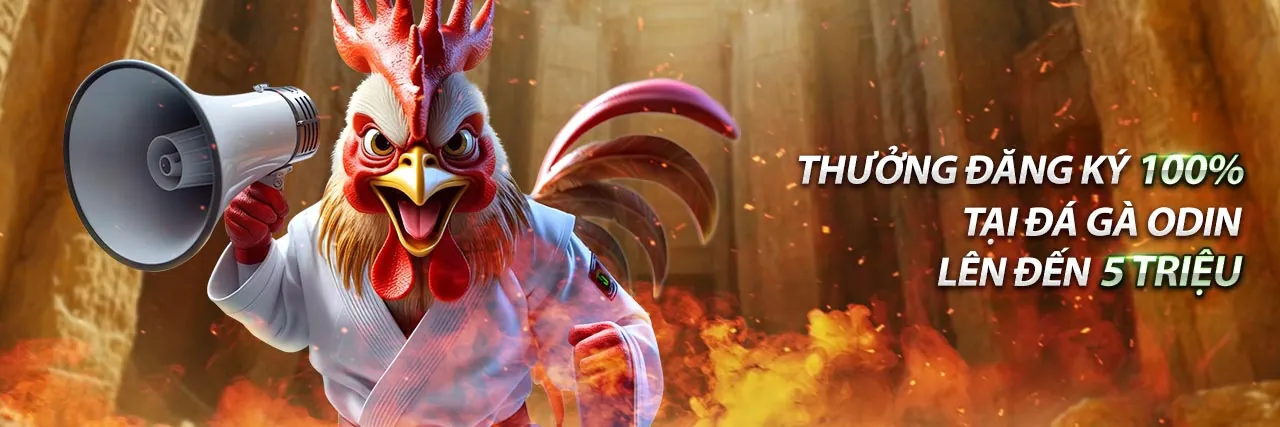 Đá gà trực tuyến 8kbet123 Casino với chiến kê dũng mãnh